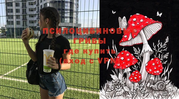героин Лагань