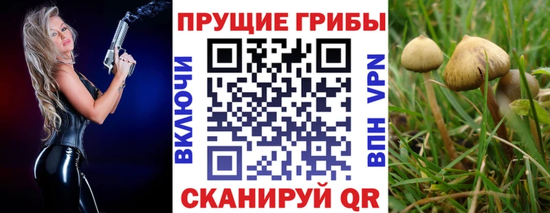 Псилоцибиновые грибы мицелий  Шуя 