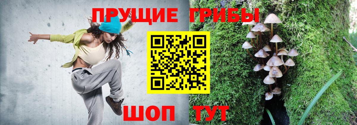 Галлюциногенные грибы Psilocybe Шуя